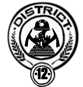 district 12 symbol