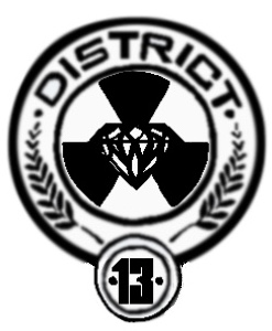 district 13 symbol